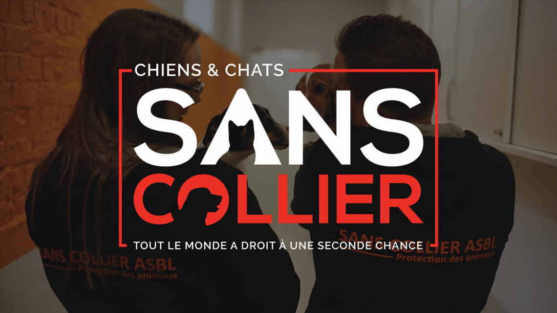Sans collier